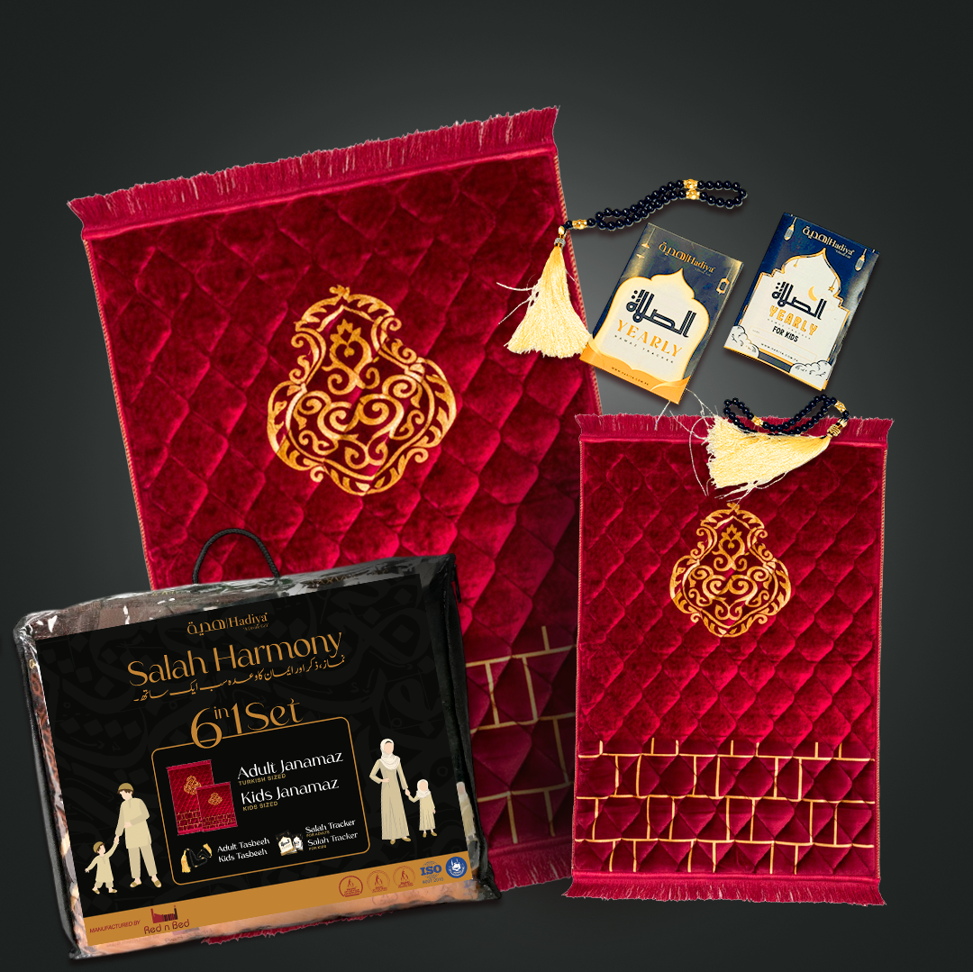 Mehroon Ghilaf e Kaaba - Salah Harmony