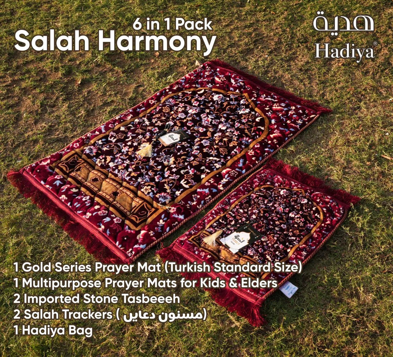 Salah Harmony 18 Pcs Carton (B)